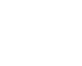 EL GORDO DE LA PRIMITIVA