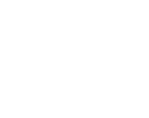 QUÍNTUPLE PLUS